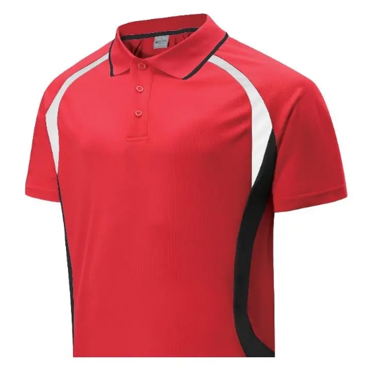 Picture of Bocini, Adults Sports Panel Polo